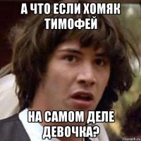 а что если хомяк тимофей на самом деле девочка?