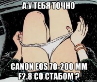 а у тебя точно canon eos 70-200 mm f2.8 со стабом ?