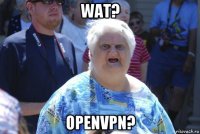 wat? openvpn?