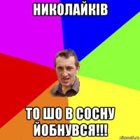 николайків то шо в сосну йобнувся!!!