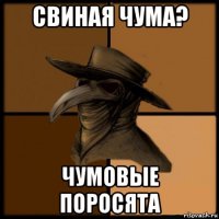 свиная чума? чумовые поросята