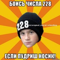 боись числа 228 если пудриш носик!