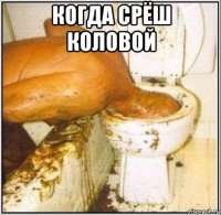 когда срёш коловой 