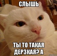 слышь ты то такая дерзкая? а