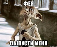 фея выпусти меня