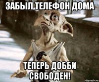 забыл телефон дома теперь добби свободен!