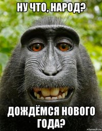 ну что, народ? дождёмся нового года?