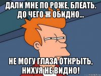 дали мне по роже, блеать. до чего ж обидно... не могу глаза открыть, нихуя не видно!