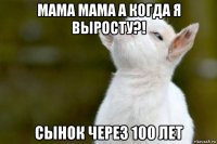 мама мама а когда я выросту?! сынок через 100 лет