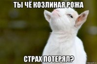 ты чё козлиная рожа страх потерял?