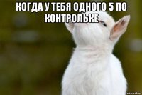 когда у тебя одного 5 по контрольке 