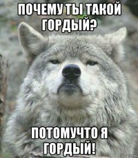 почему ты такой гордый? потомучто я гордый!