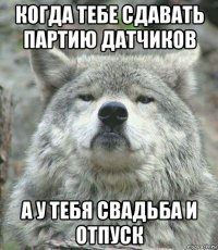 когда тебе сдавать партию датчиков а у тебя свадьба и отпуск