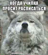 когда училка просит расписаться 