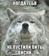 когда тебя не пустили пить виски