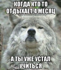 когда кто то отдыхает 4 месяц а ты уже устал учиться