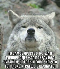  то самое чувство, когда в турнире одержал победу над чуваком, который говорил, что ты плохо играешь в шахматы