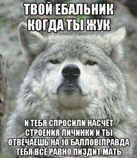 твой ебальник когда ты жук и тебя спросили насчёт строения личинки и ты отвечаешь на 10 баллов(правда тебя всё равно пиздит мать