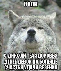 волк с днюхай теа здоровья денег девок по больше счастья удачи везения