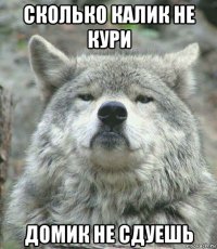 сколько калик не кури домик не сдуешь