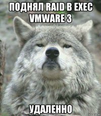 поднял raid в exec vmware 3 удаленно