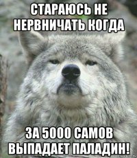 стараюсь не нервничать когда за 5000 самов выпадает паладин!