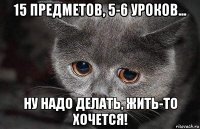 15 предметов, 5-6 уроков... ну надо делать, жить-то хочется!