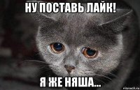 ну поставь лайк! я же няша...