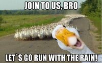 join to us, bro let`s go run with the rain!