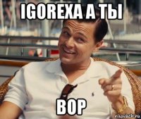 igorexa а ты вор