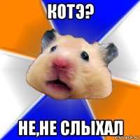 котэ? не,не слыхал