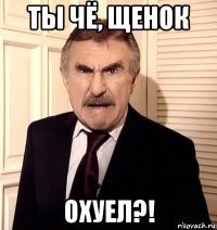 ты чё, щенок охуел?!