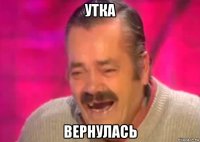 утка вернулась