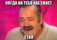 когда на тебя наезжает стая