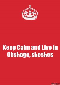 Keep Calm and Live in Obshaga, sheshes