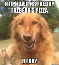 я пришёл из freddy fazbear's pizza я foxy