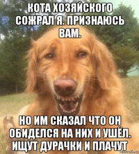 кота хозяйского сожрал я. признаюсь вам. но им сказал что он обиделся на них и ушёл. ищут дурачки и плачут