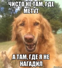 чисто не там, где метут а там, где я не нагадил