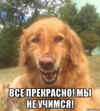  все прекрасно! мы не учимся!