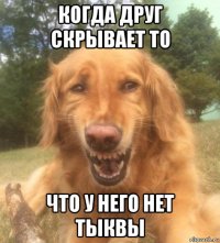 когда друг скрывает то что у него нет тыквы