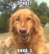 привет вика :3