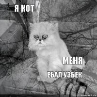 Я кот Меня     Ебал узбек   