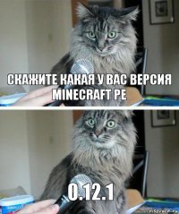 Скажите какая у вас версия minecraft pe 0.12.1