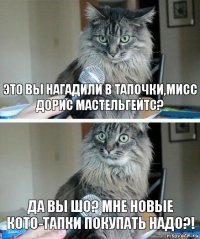 это вы нагадили в тапочки,мисс Дорис мастельгейтс? да вы шо? мне новые кото-тапки покупать надо?!