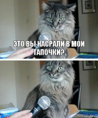 Это вы насрали в мои тапочки? 