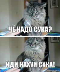 Чё надо сука? Иди нахуй сука!