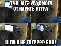 я чо кот? ура смогу отжарить итгра шло я не тигр??? бля!