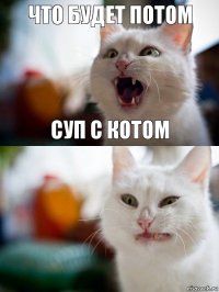 что будет потом суп с котом