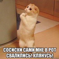  сосиски сами мне в рот свалились! клянусь!