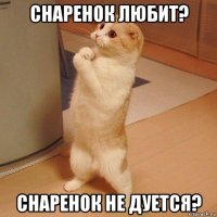 снаренок любит? снаренок не дуется?